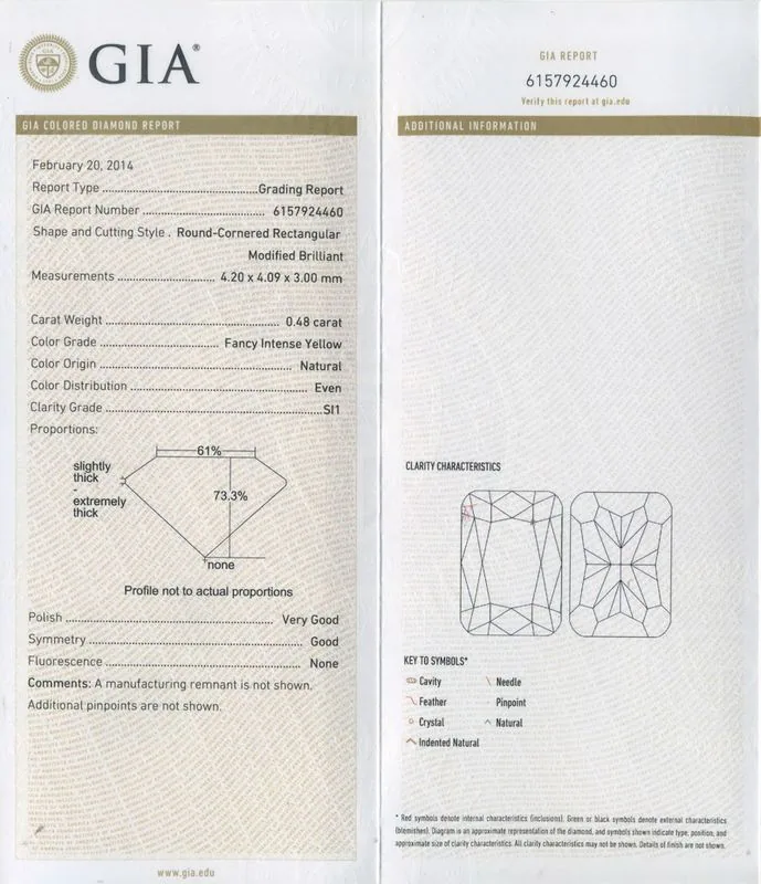GIA grading report for item R6576