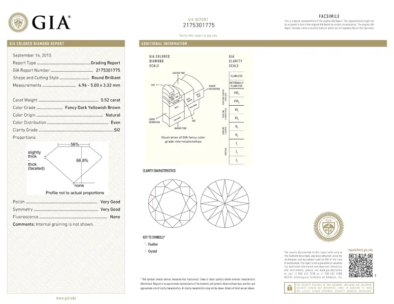 GIA grading report for item R6834