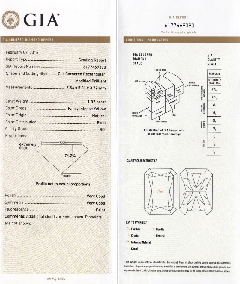 GIA grading report for item R6844
