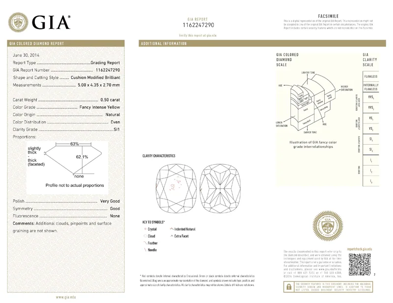 GIA grading report for item R6891