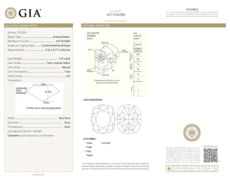 GIA grading report for item R7669