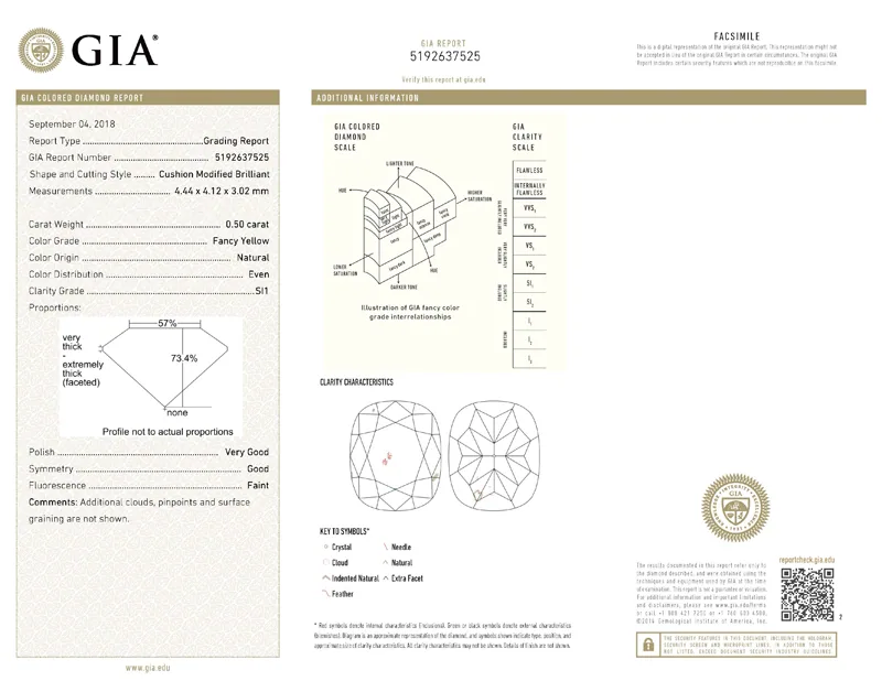 GIA grading report for item R8349