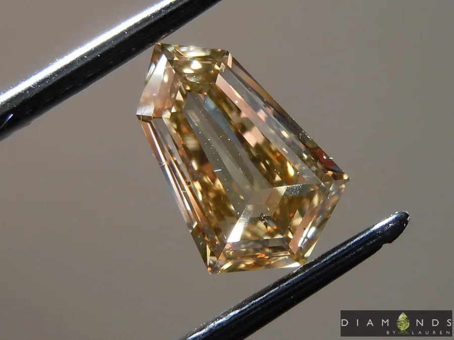 1.23ct Brown SI2 Shield Diamond R9749